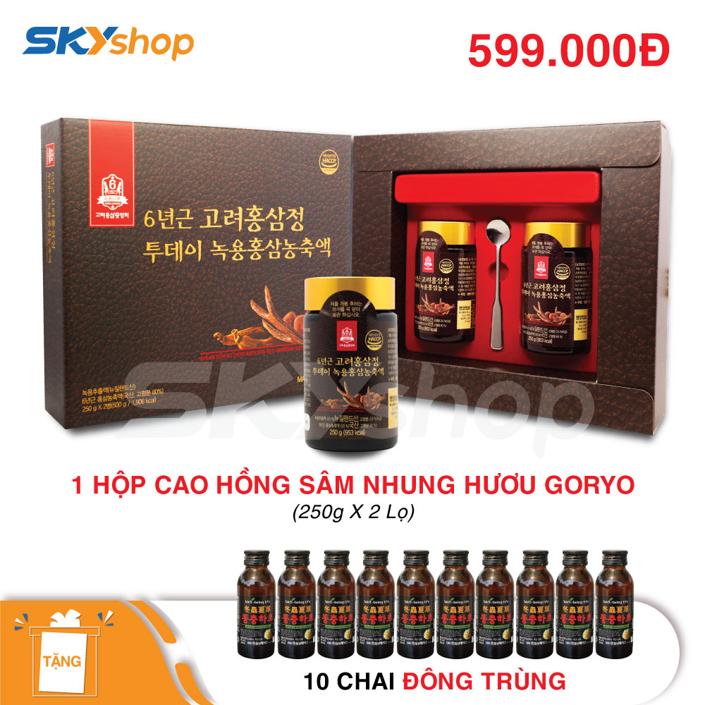 1 hộp cao hồng sâm nhung hươu Goryo (250g x 2 lọ) - Tặng 10 chai Đông