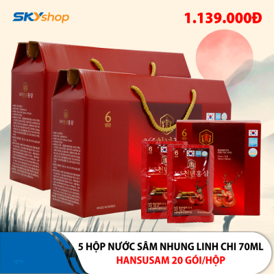 5 Hộp nước chiết hồng sâm nhung hươu linh chi 365 Hansusam - Hộp 20 Gói 70ml