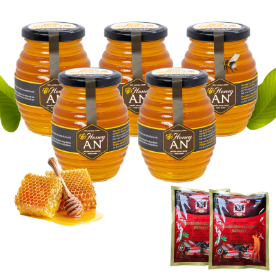 5 Hũ Mật Ong Hoa Xuyến Chi Honey An 500g /Hũ - Tặng 2 gói kẹo sâm 5 Hũ Mật Ong Hoa Xuyến Chi Honey An 500g /Hũ - Tặng 2 gói kẹo sâm