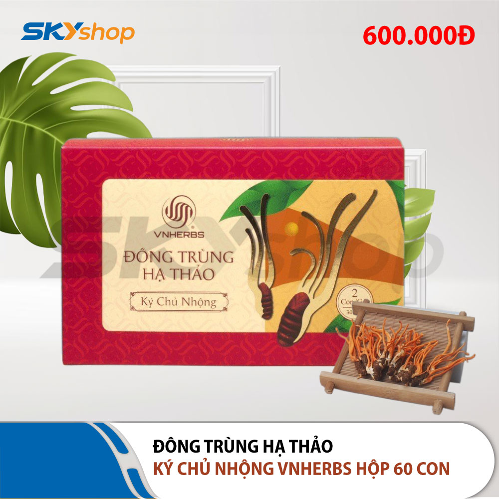 Đông Trùng Hạ Thảo ký chủ nhộng hộp giấy 60 con VNHERBS Đông Trùng Hạ Thảo ký chủ nhộng hộp giấy 60 con VNHERBS
