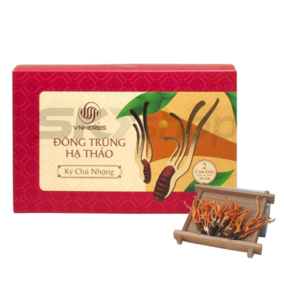 Đông Trùng Hạ Thảo ký chủ nhộng hộp giấy 60 con VNHERBS Đông Trùng Hạ Thảo ký chủ nhộng hộp giấy 60 con VNHERBS