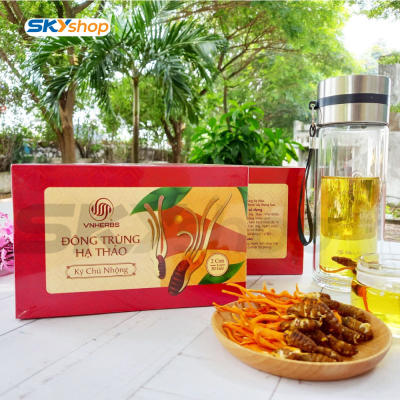 Đông Trùng Hạ Thảo ký chủ nhộng hộp giấy 60 con VNHERBS Đông Trùng Hạ Thảo ký chủ nhộng hộp giấy 60 con VNHERBS