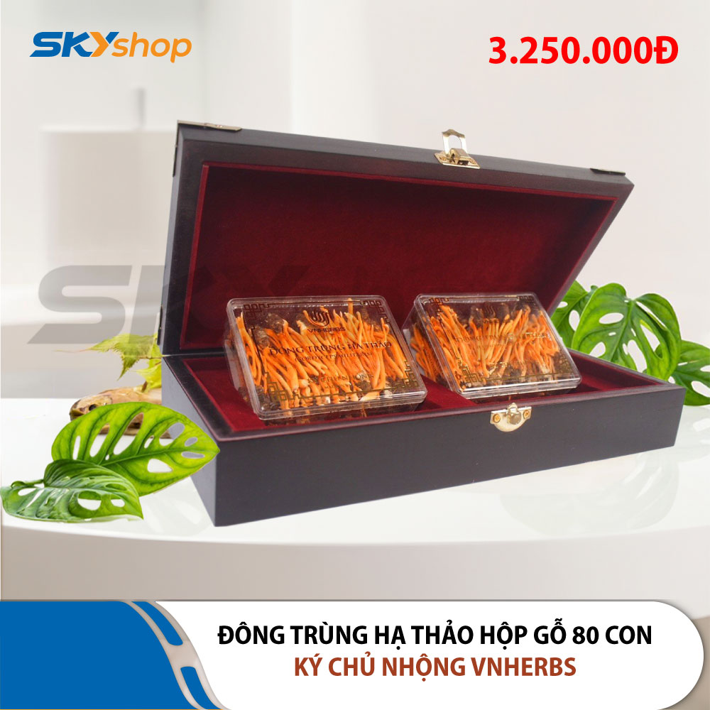 Đông Trùng Hạ Thảo ký chủ nhộng hộp gỗ 80 con VNHERBS Đông Trùng Hạ Thảo ký chủ nhộng hộp gỗ 80 con VNHERBS