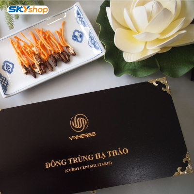 Đông Trùng Hạ Thảo ký chủ nhộng hộp gỗ 40 con VNHERBS Đông Trùng Hạ Thảo ký chủ nhộng hộp gỗ 40 con VNHERBS