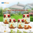 4 lọ mật ong ruồi nguyên chất 504g Xuân Nguyên  - Tặng 2 lọ mật ong hoa sen 225g + 1 chai mật ong hoa nhãn 180ml